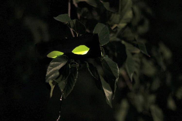 Easy DIY Halloween Floating Glow-in-the-Dark Eyes 18 glow eye