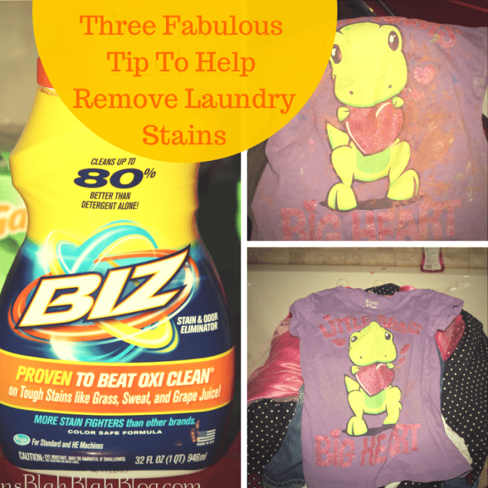 Three-Fabulous-Tip-To-Help-Remove-Laundry-Stains-700×700-1