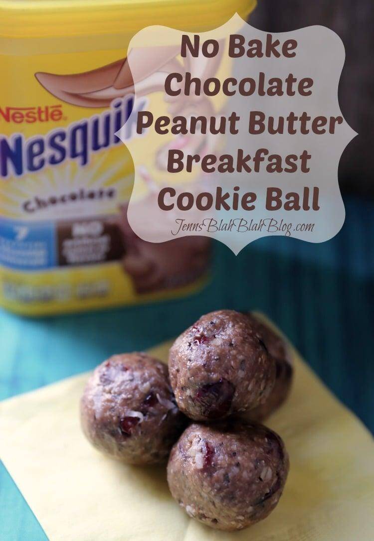 Chocolate Peanut Butter Breakfast Balls with Chia Seed