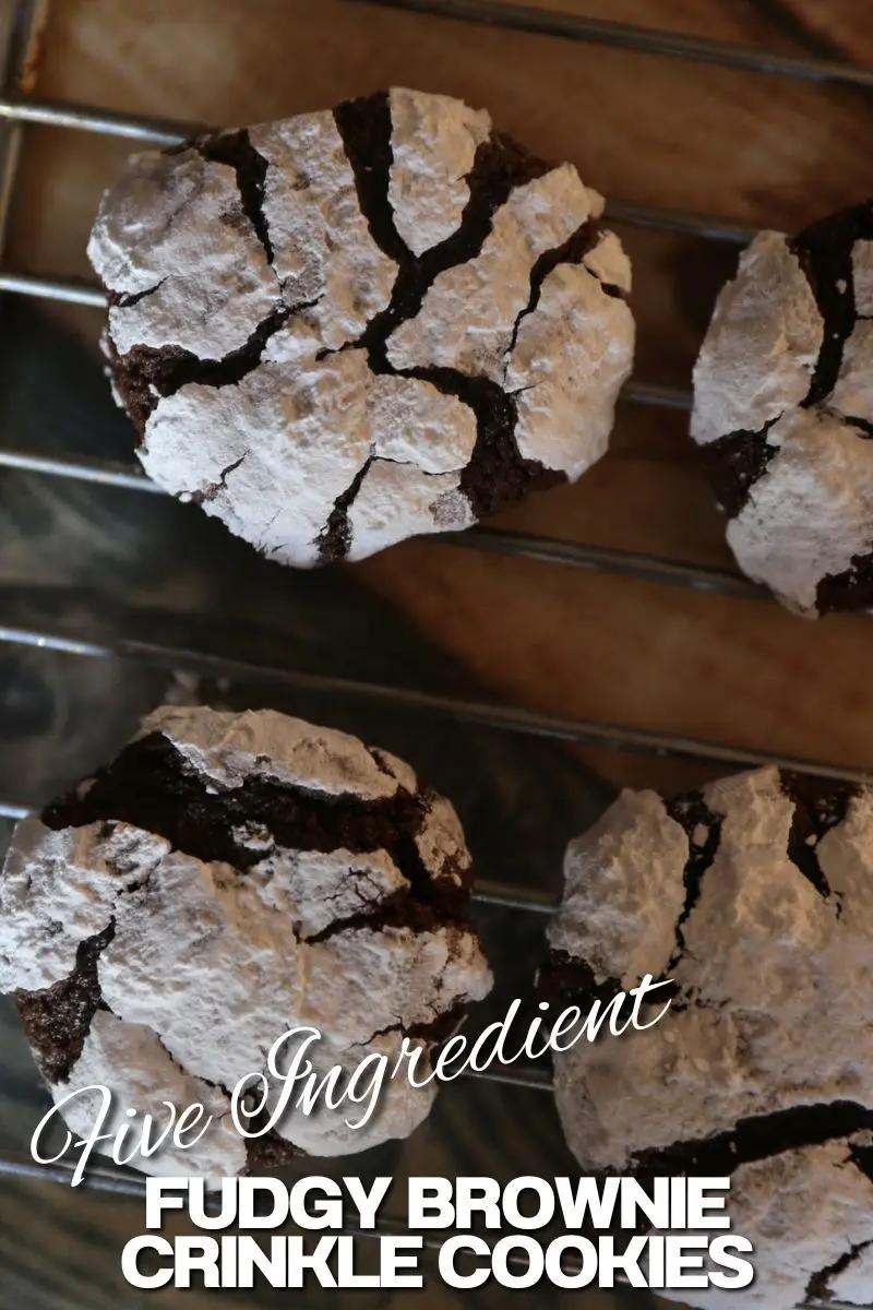 5-Ingredient Fudgy Brownie Crinkle Cookies 11 Five Ingredient Fudgy Brownie Crinkle Cookies | Half Baked Media