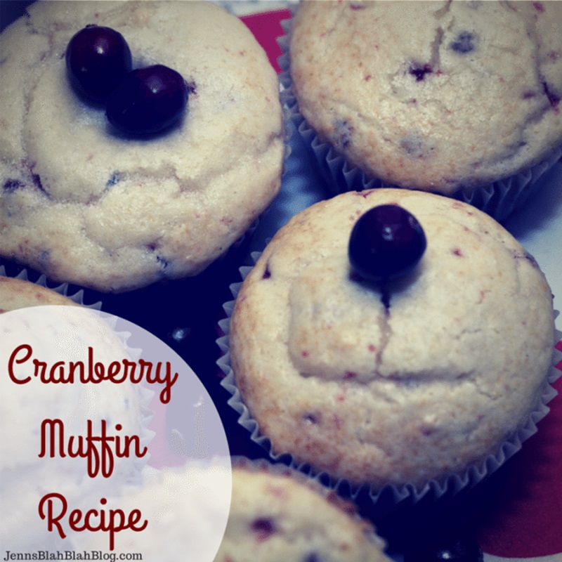 Cranberry Muffin Recipe