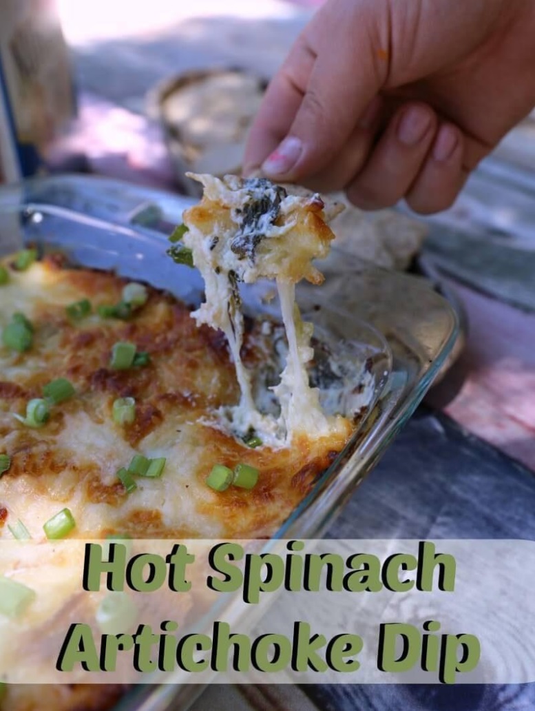 The Best Hot Spinach & Artichoke Dip Recipe!