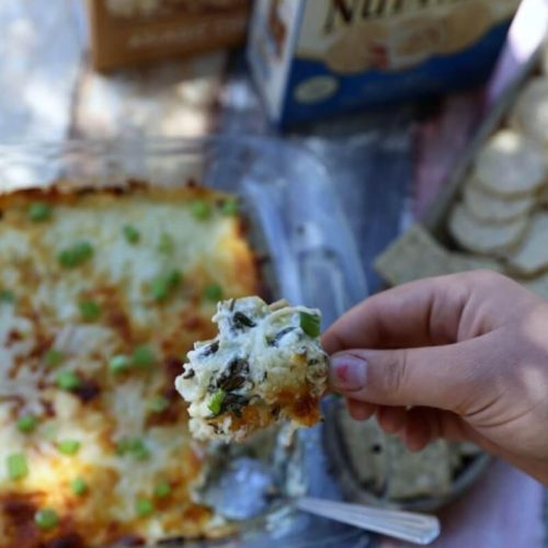 The Best Hot Spinach & Artichoke Dip Recipe
