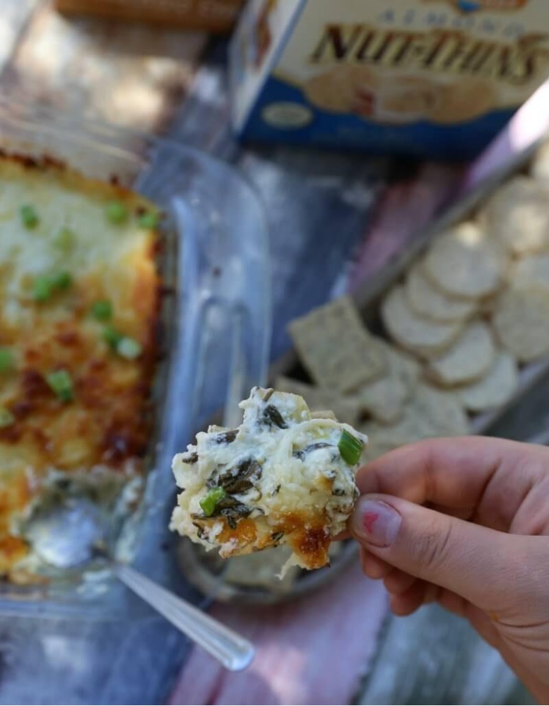 The Best Hot Spinach & Artichoke Dip Recipe!