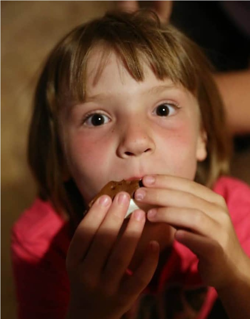 Chocolate Dipped FatBoys Mini's Ice Cream Sandwiches with Sprinkles