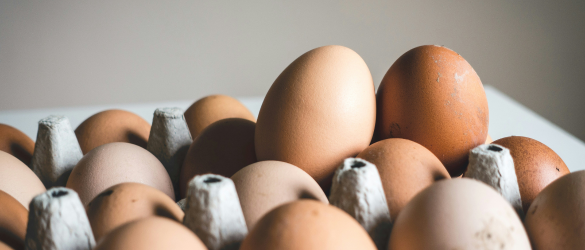 eggs in egg carton