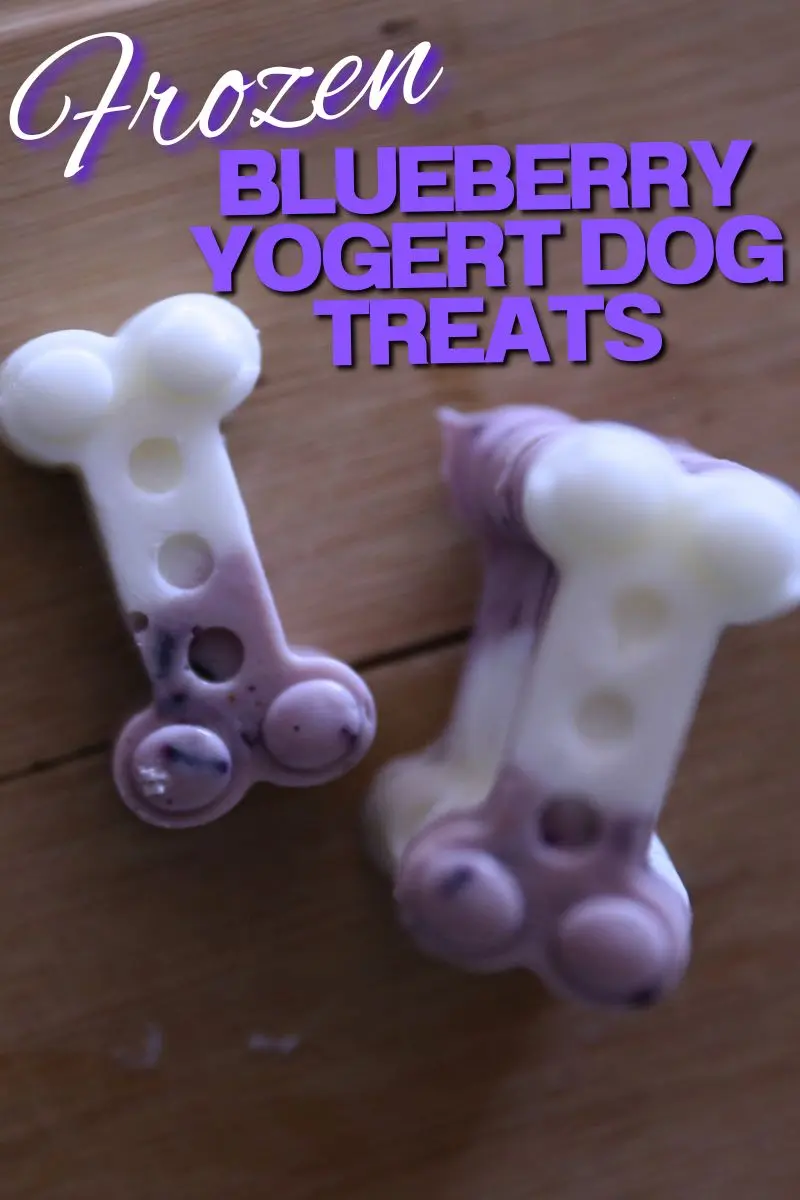 Frozen Blueberry Yogurt Dog Treats 11 Frozen Blueberry Yogurt Dog Treats