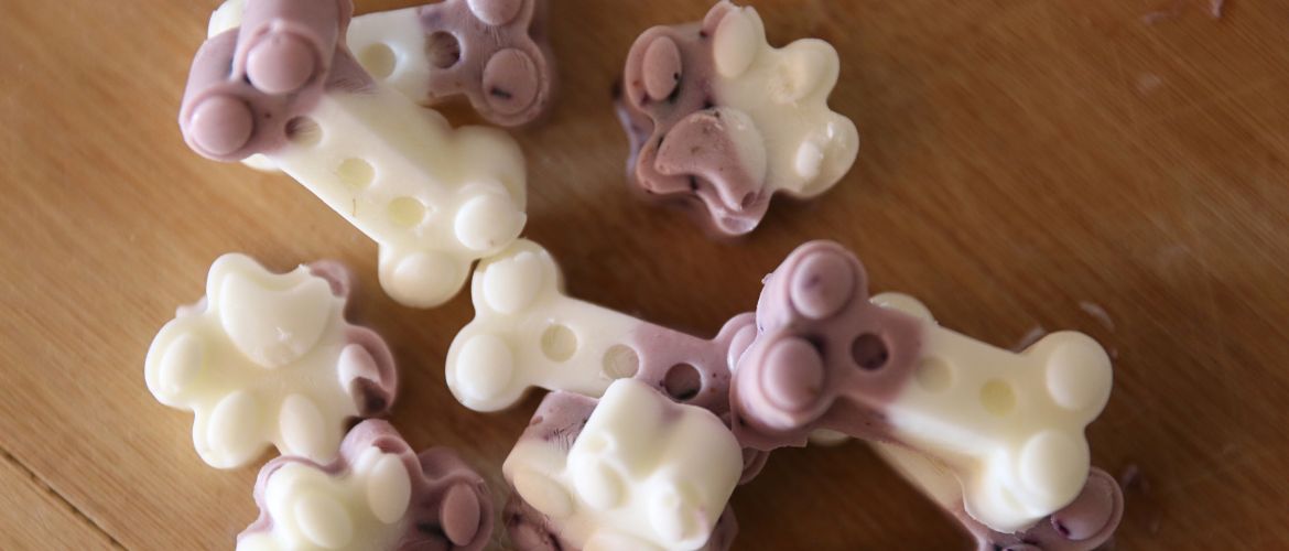 Frozen Blueberry Yogurt Dog Treats Frozen Blueberry Yogurt Dog Treats