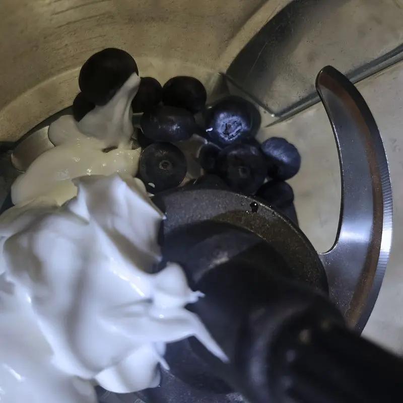 Frozen Blueberry Yogurt Dog Treats 13 blueberries and yogurt in blender