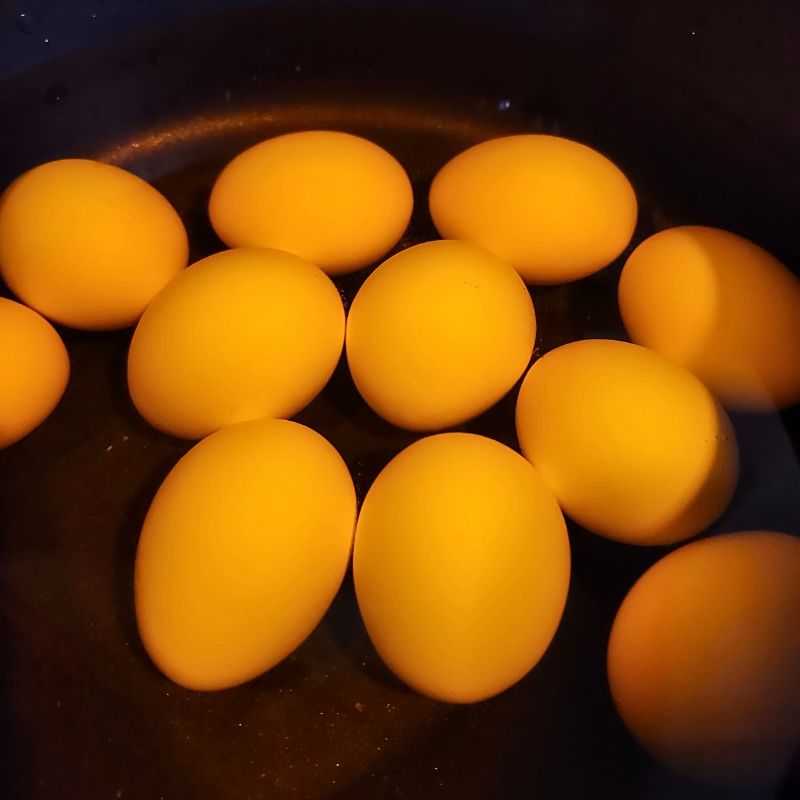 eggs in food coloring