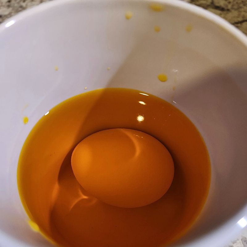 Egg sitting in food coloring