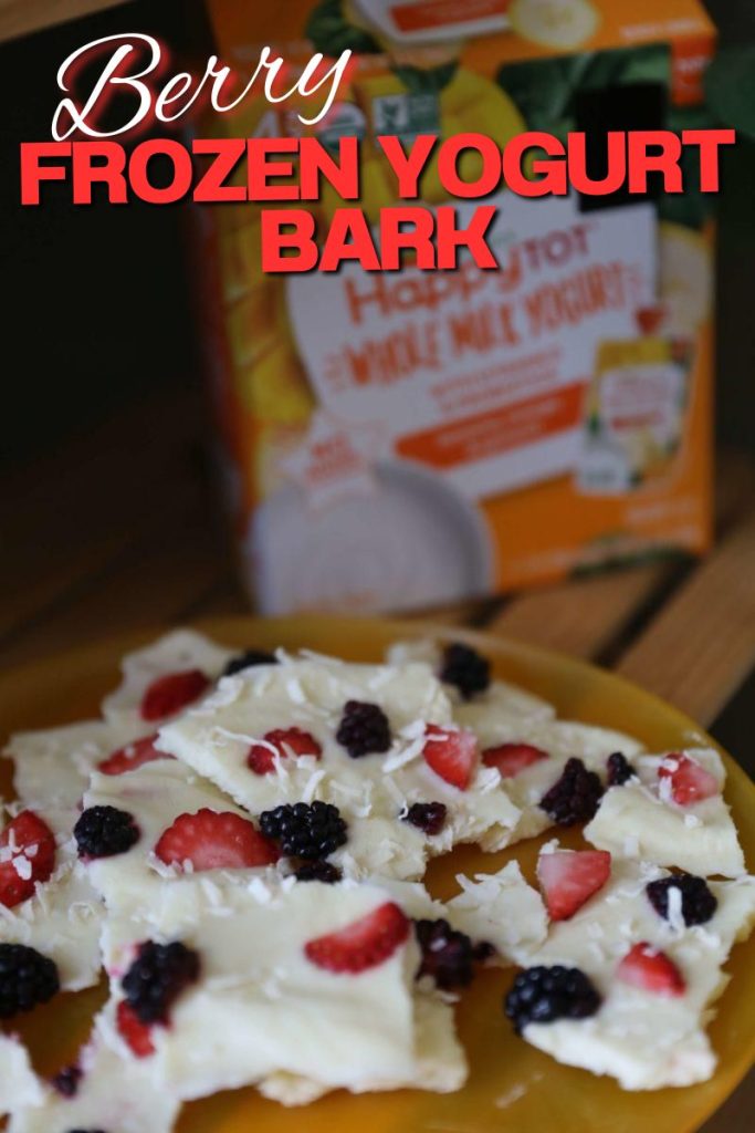 Easy Summer Recipes Roundup: Beat The Heat 16 Simple Recipes 24 frozen yogurt bark with raspberries strawberries and coconut.