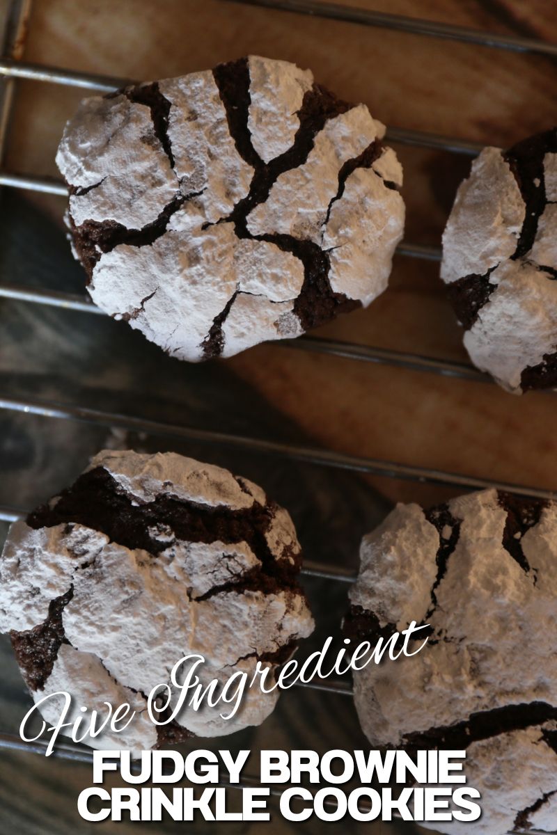 Five Ingredient Fudgy Brownie Crinkle Cookies | Half Baked Media