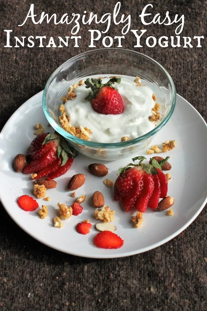 Droolworthy Instant Pot Recipes 21 Easy Instant Pot Yogurt