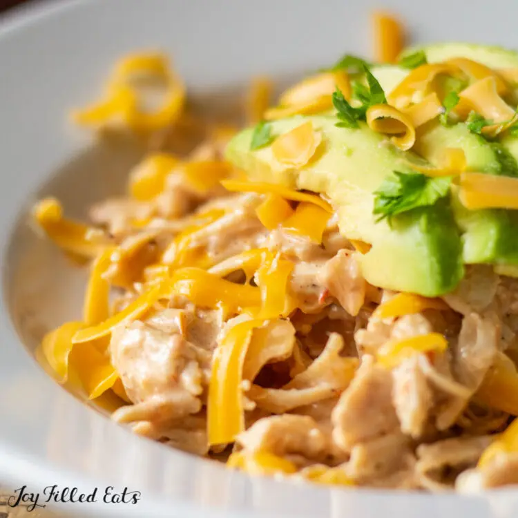 Droolworthy Instant Pot Recipes 14 Creamy Salsa Chicken