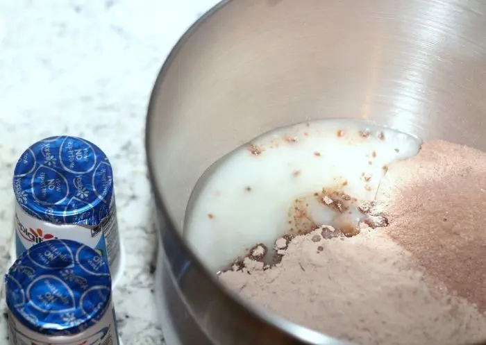Double Chocolate Mocha Bundt Cake Recipe 11 ingredients cake mix, yogurt, and other ingredients to make bundt cake
