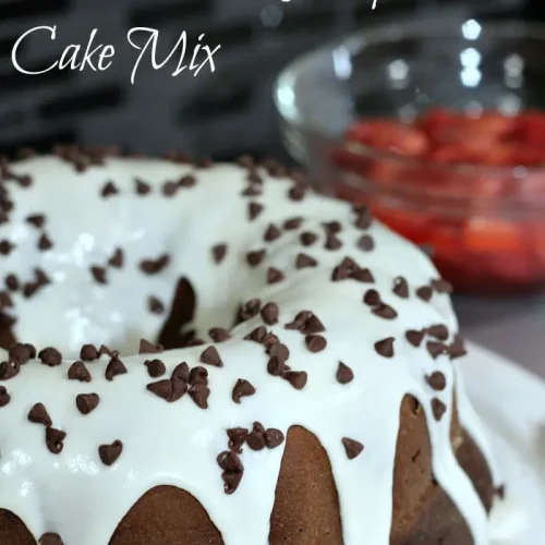 Double Chocolate Mocha Bundt Cake Recipe 13 Double Chocolate Mocha Bundt Cake Recipe with Cake Mix