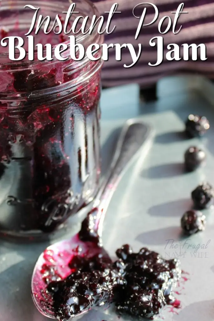 Droolworthy Instant Pot Recipes 20 Instant Pot Blueberry Jam
